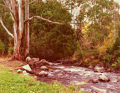 Ovens River - near Bright - Victoria