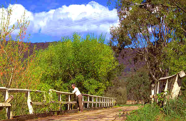Myrtleford - Victoria - trout fishing